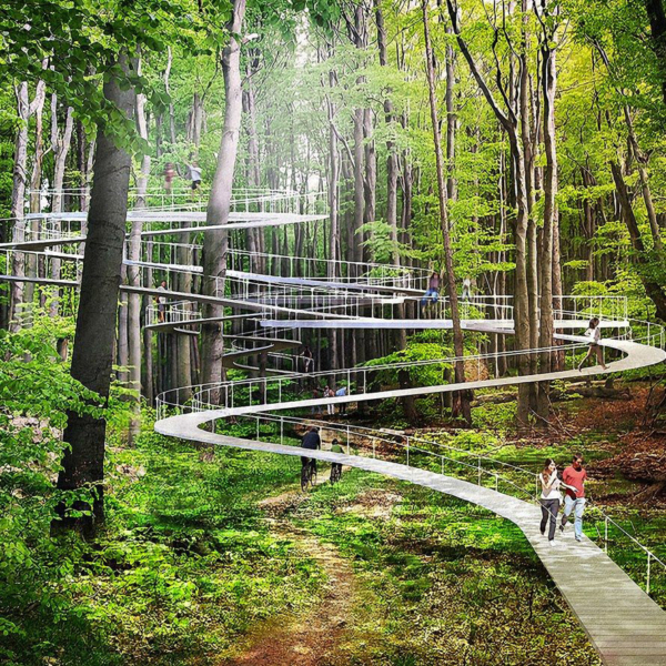 elevated paths in forest